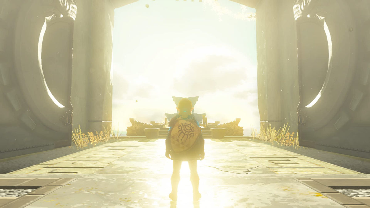 The Legend of Zelda: Tears of The Kingdom V106030