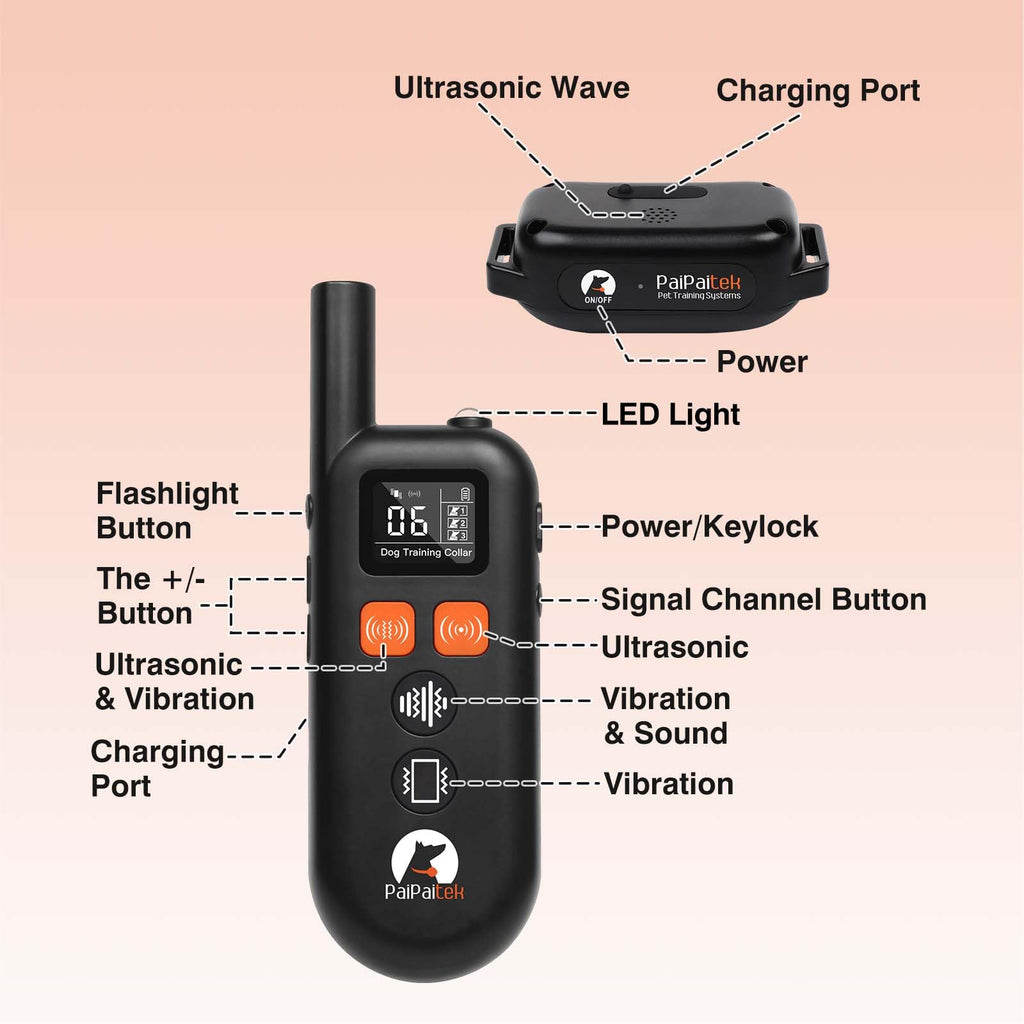 Vibrating Dog Training Collar with Remote S576