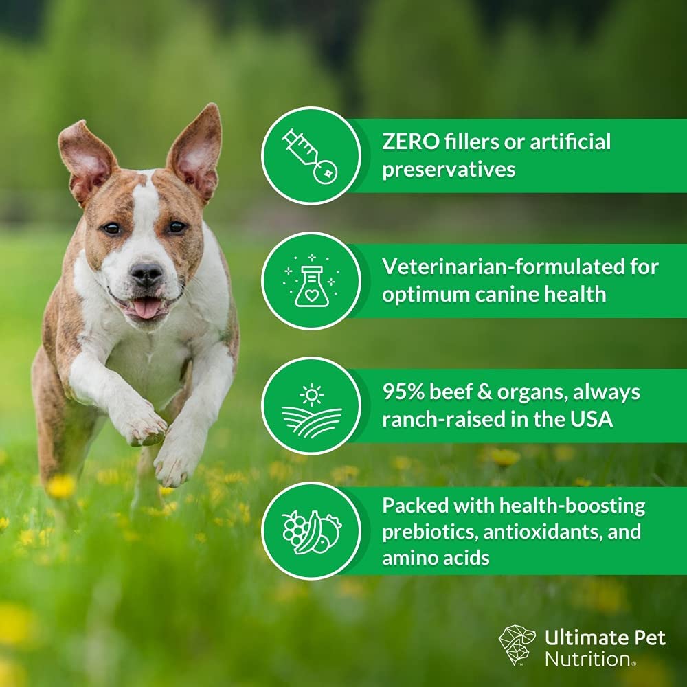 Freeze Dried Raw Dog Food with Antioxidants Prebiotics and Amino Acids, 1 Pound Beef J907327