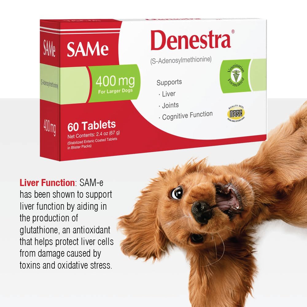 Same for Dogs 200 mg 60 Tablets L3995