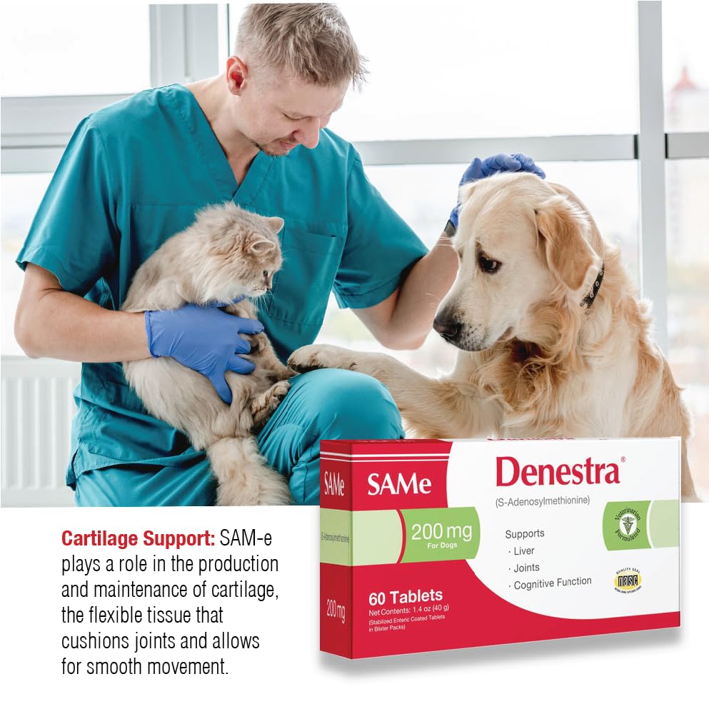 Same for Dogs 200 mg 60 Tablets L3995