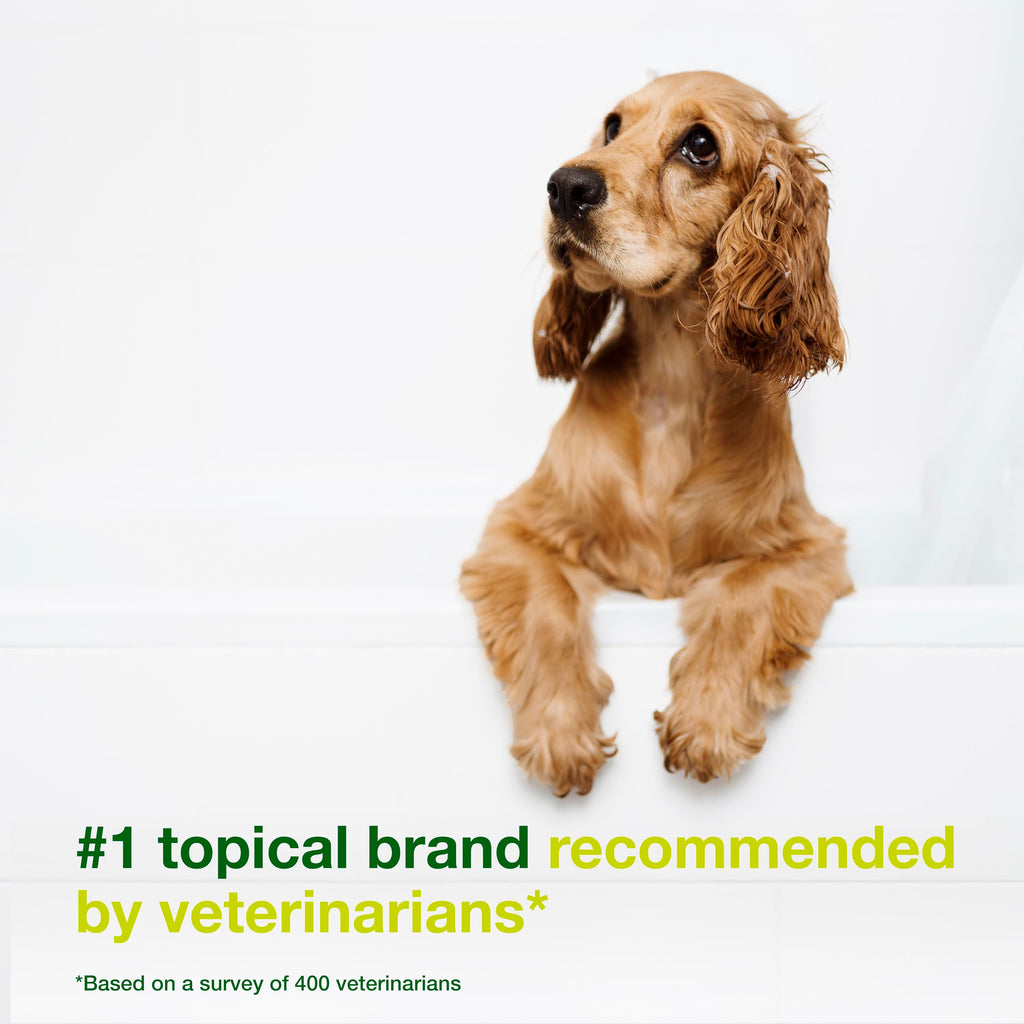 Dog Seboregulating Shampoo 6.7 fl oz K14374