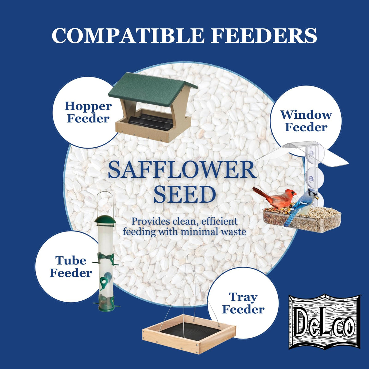 Safflower Wild Bird Seed 20 lb Bag V2940