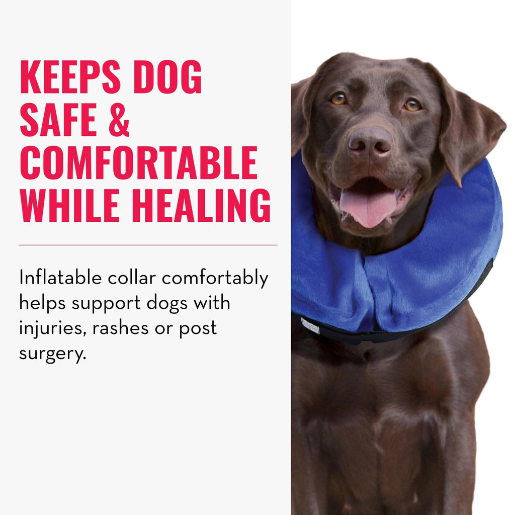 X-Large Dog Collar N93127