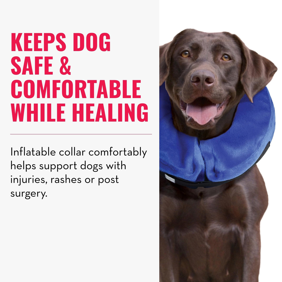 X-Large Dog Collar N93127