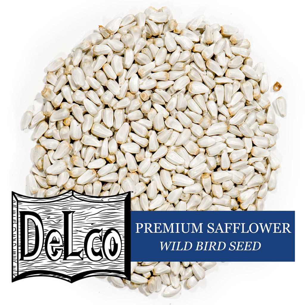 Safflower Wild Bird Seed 20 lb Bag V2940