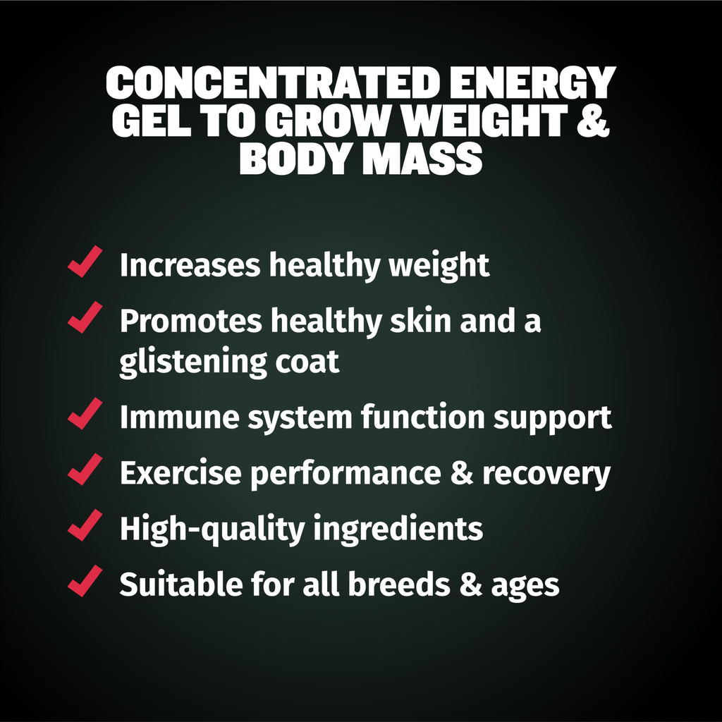 High-Calorie Liquid Weight Gainer & Soft Chews for Dogs Q48072