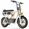 1500W Peak Electric Scooter with Large Battery T9490