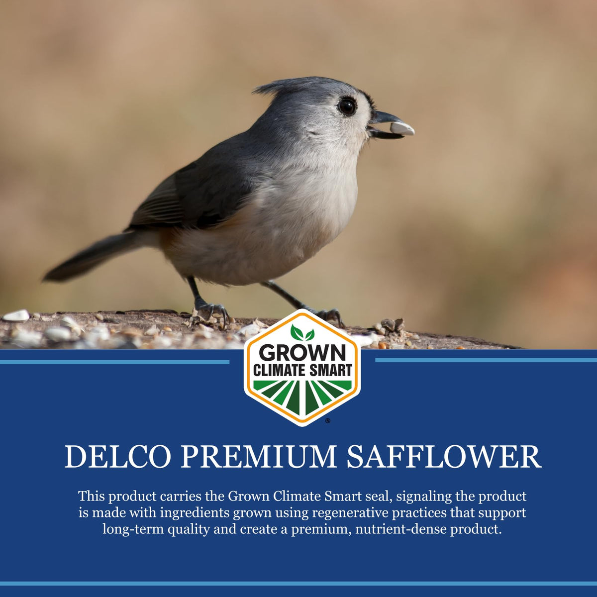 Safflower Wild Bird Seed 20 lb Bag V2940