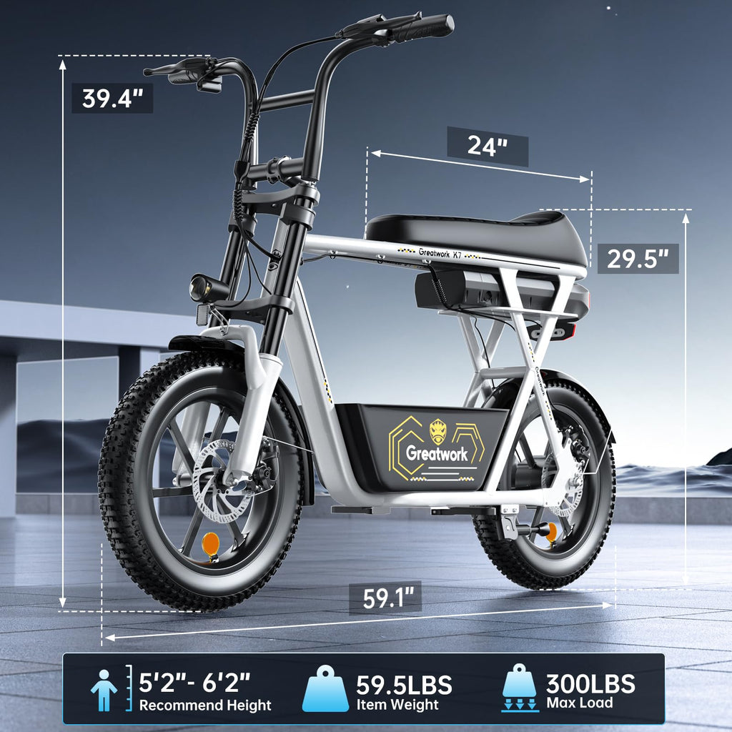 1500W Peak Electric Scooter with Large Battery T9490