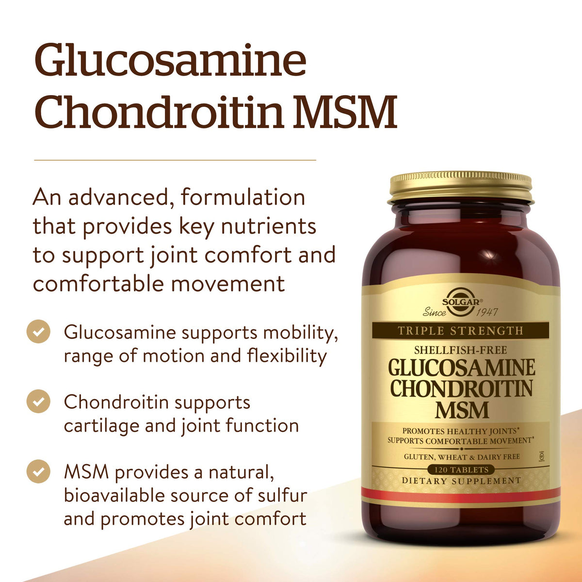 120 Tablets Glucosamine Chondroitin MSM Z184