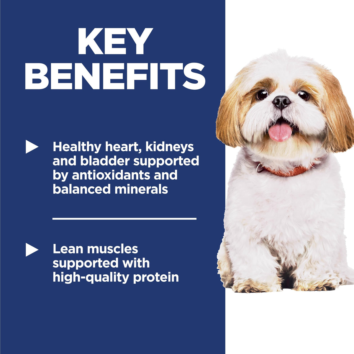 Dry Dog Food E72311