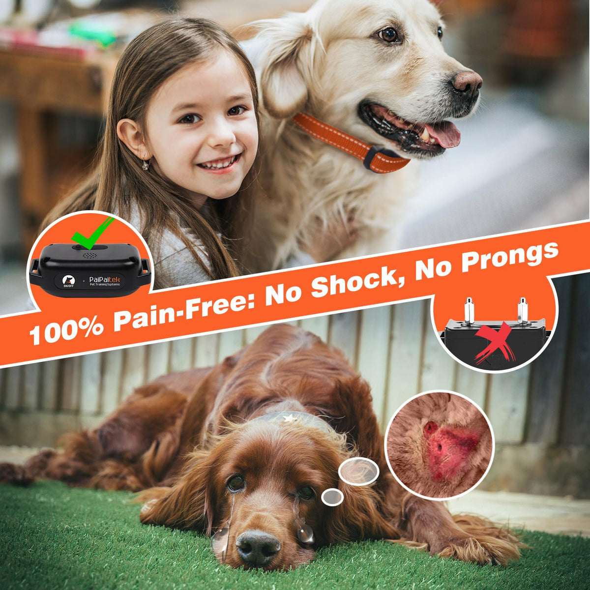 Vibrating Dog Training Collar with Remote S576
