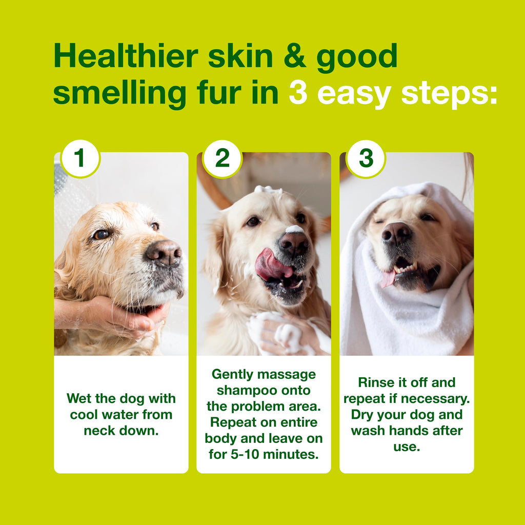 Dog Seboregulating Shampoo 6.7 fl oz K14374