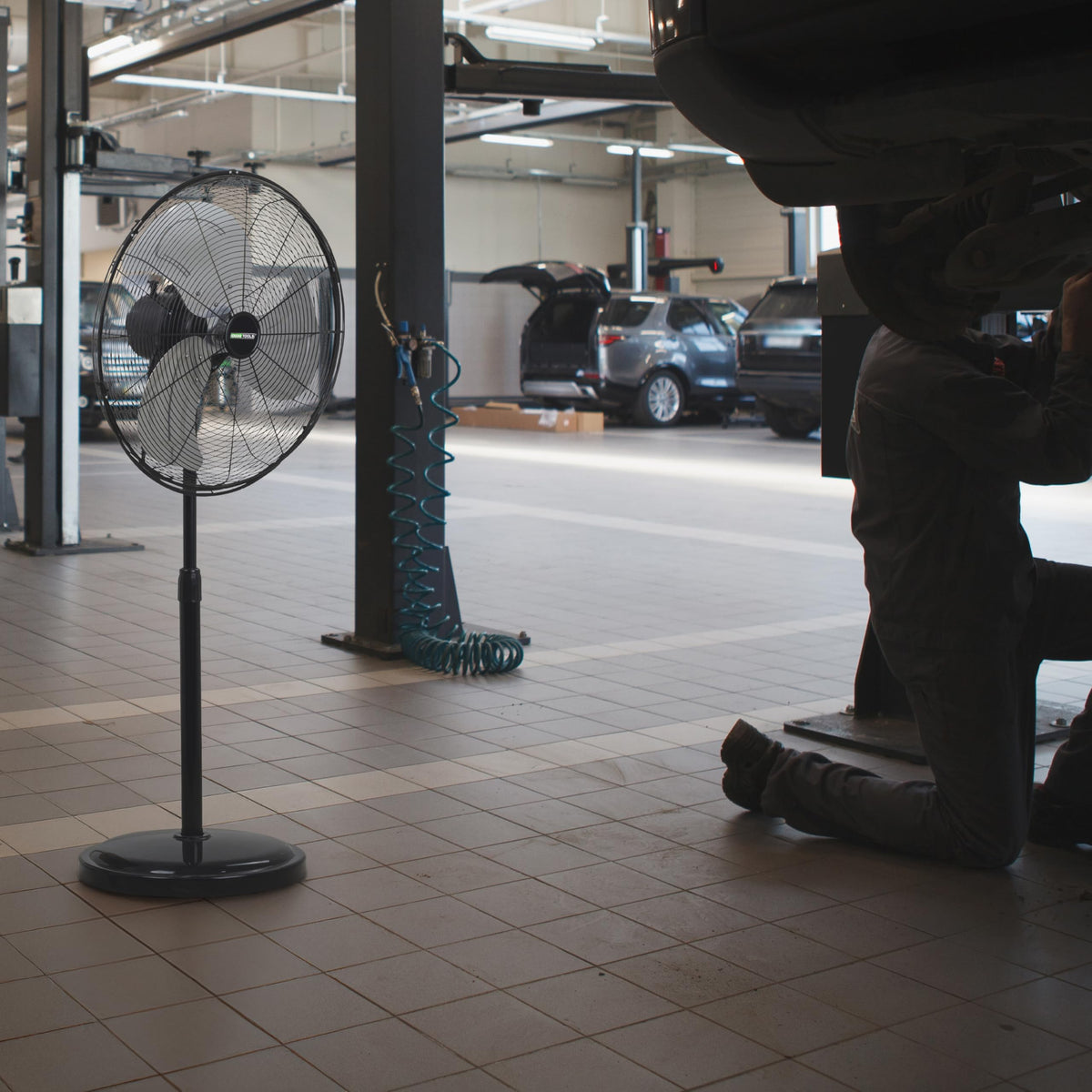 Adjustable 20 Inch Oscillating Pedestal Fan D404