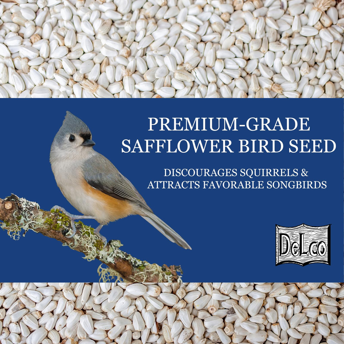 Safflower Wild Bird Seed 20 lb Bag V2940