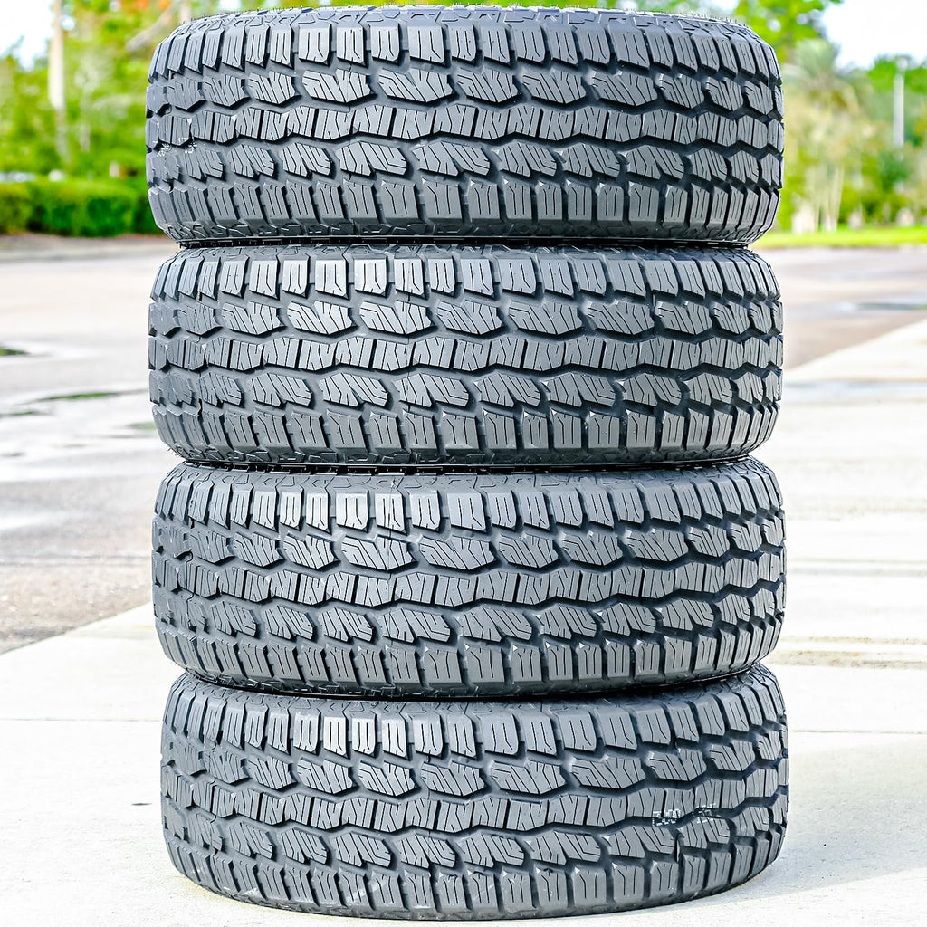 275/55R20 113S All Terrain Tire C384