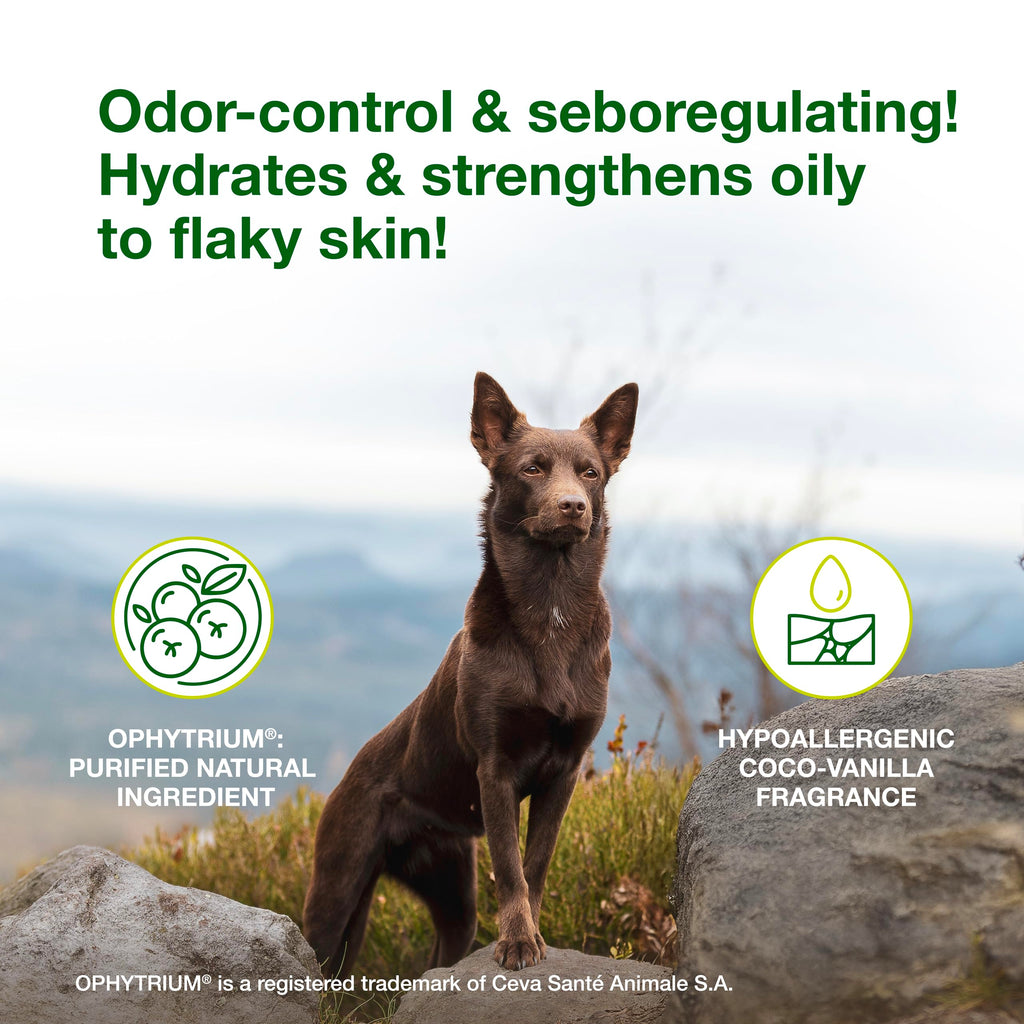 Dog Seboregulating Shampoo 6.7 fl oz K14374