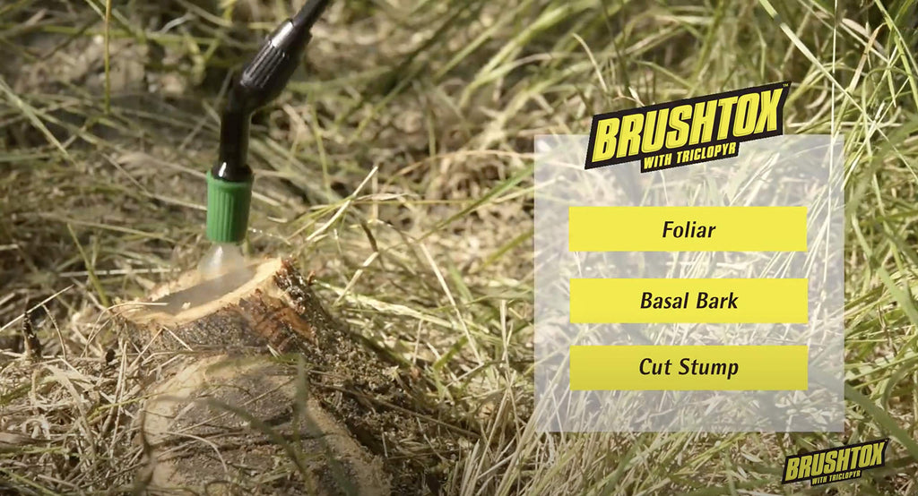 64oz Brush Killer with Triclopyr Q1669