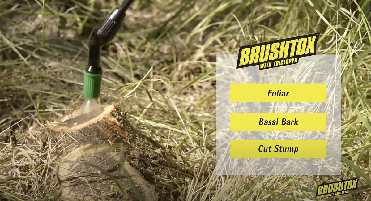 64oz Brush Killer with Triclopyr Q1669