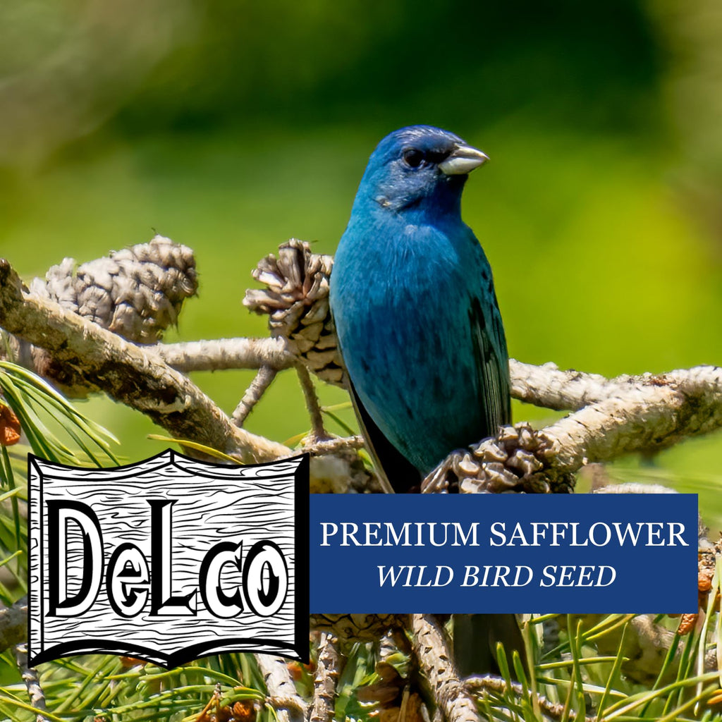 Safflower Wild Bird Seed 20 lb Bag V2940