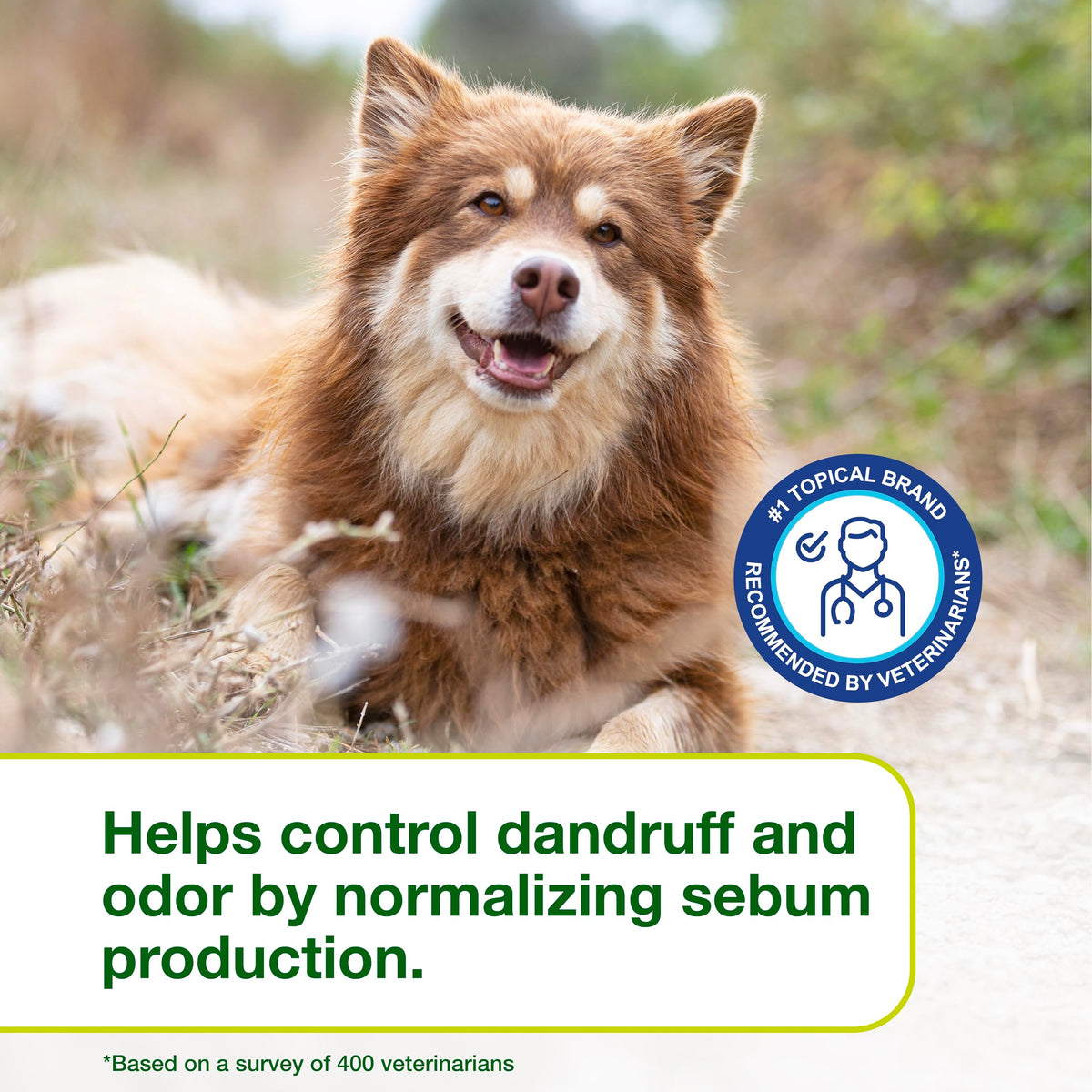 Dog Seboregulating Shampoo 6.7 fl oz K14374