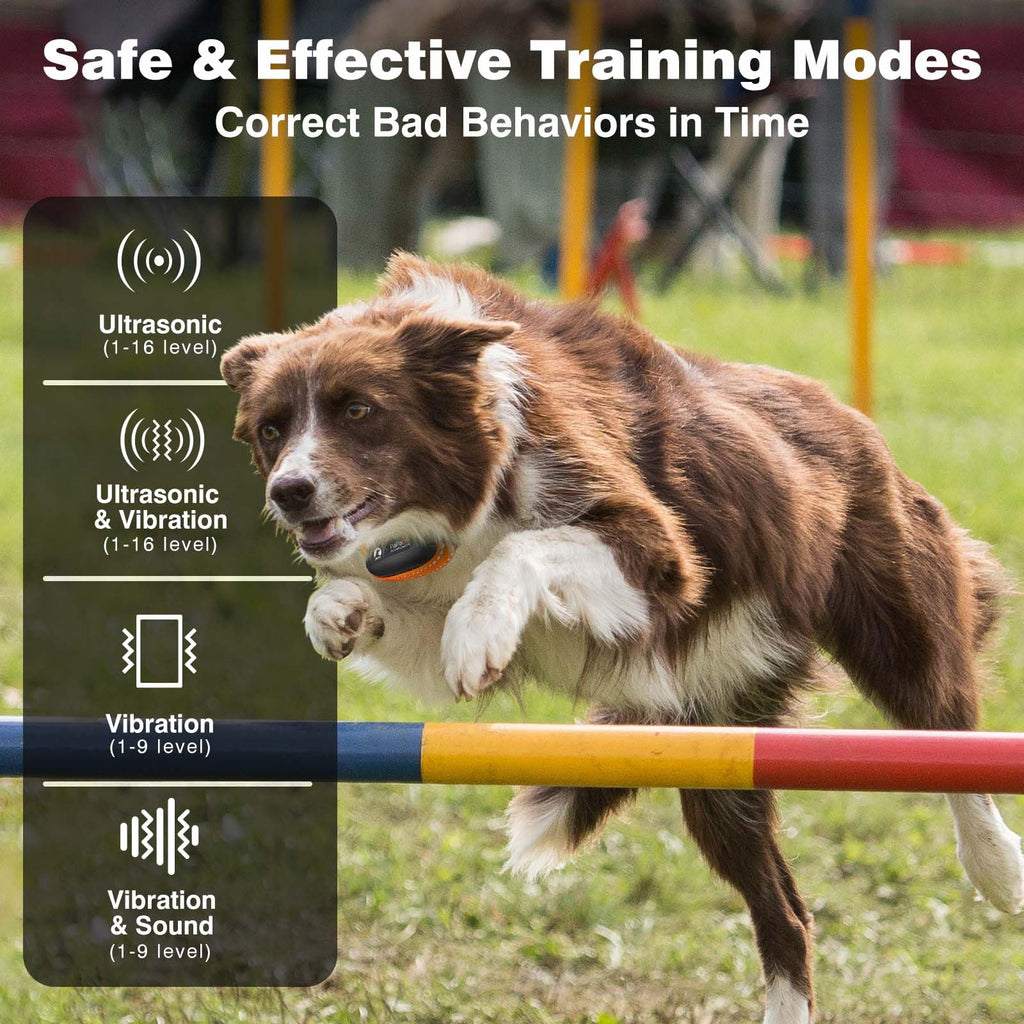 Vibrating Dog Training Collar with Remote S576