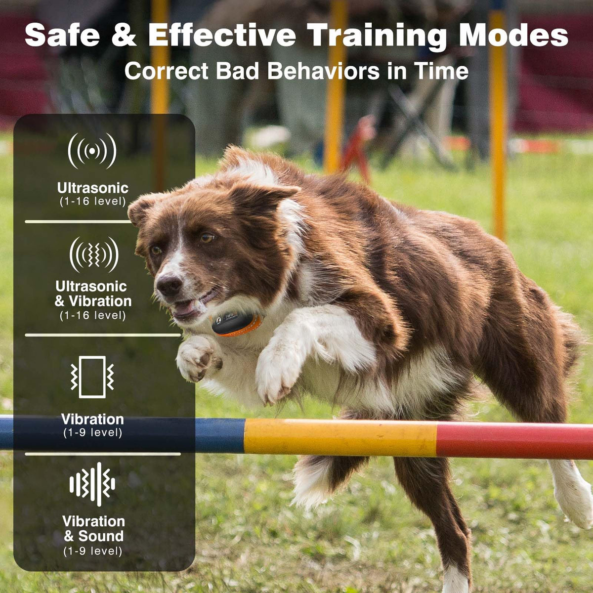 Vibrating Dog Training Collar with Remote S576