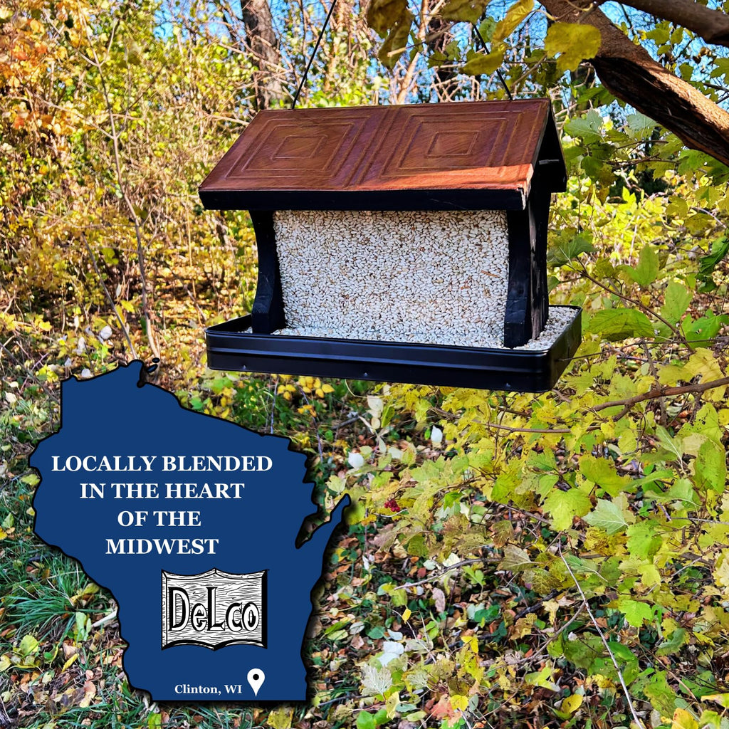 Safflower Wild Bird Seed 20 lb Bag V2940